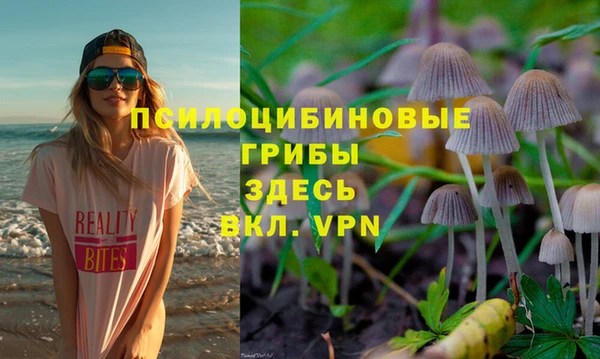 первитин Мегион