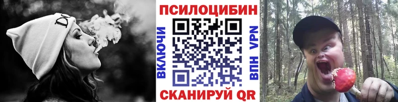 Псилоцибиновые грибы Magic Shrooms  Купить где  Краснозаводск 